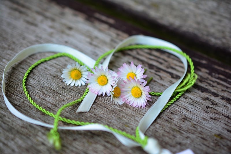 Loving Kindness